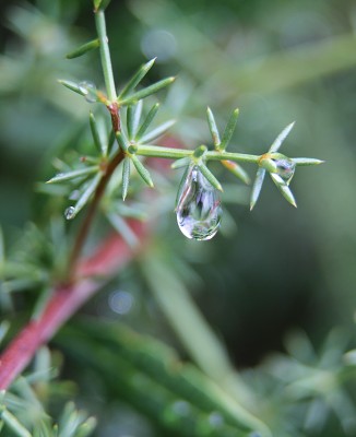 C20018 27-07-2014 Nečujam.jpg